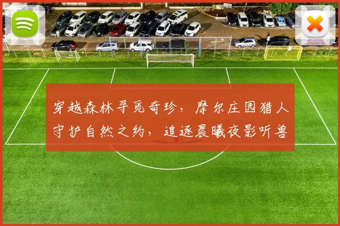 穿越森林寻觅奇珍,摩尔庄园猎人守护自然之约,追逐晨曦夜影听兽语歌