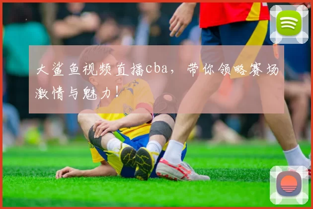 大鲨鱼视频直播cba，带你领略赛场激情与魅力！