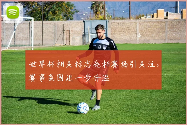 世界杯相关标志亮相赛场引关注,赛事氛围进一步升温